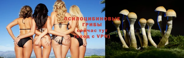 гашик Абдулино