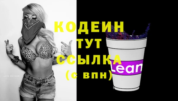 крисы Сатка