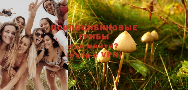 круглые Алексеевка