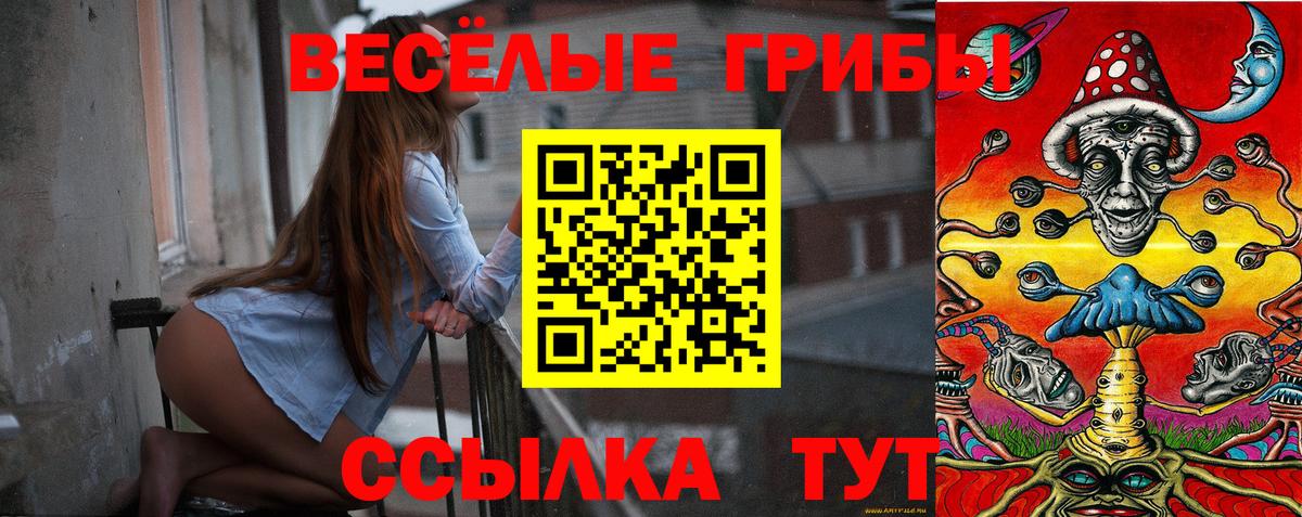 Галлюциногенные грибы Psilocybine cubensis Кашира