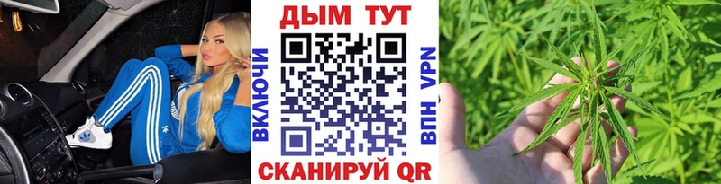 купить наркоту  mega рабочий сайт  Конопля SATIVA & INDICA  это клад  Кашира 