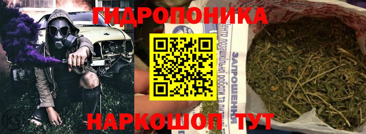 Каннабис White Widow  Бошки марихуана White Widow  Вход с VPN  Марихуана семена  Канабис конопля  Кашира 